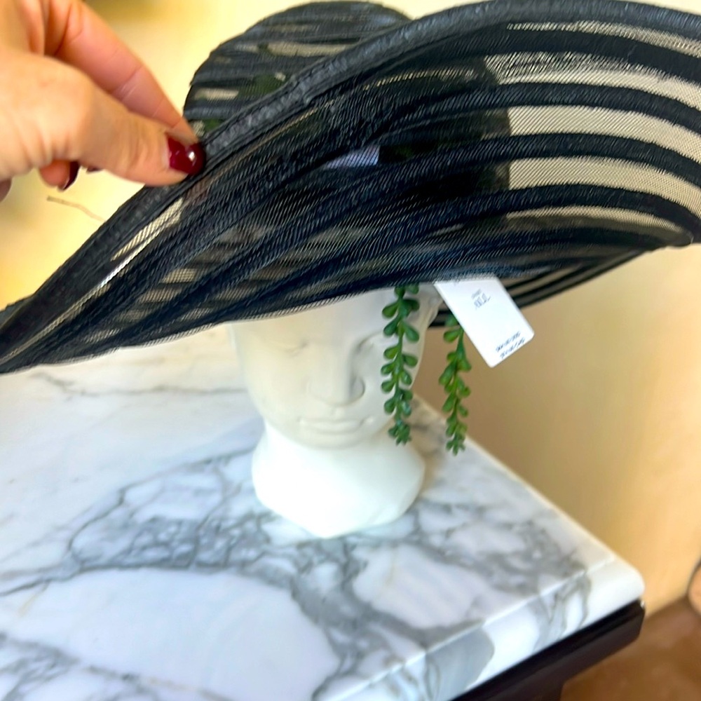 Anthropologie large brimmed floppy hat.  OS